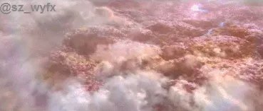 《三生三世十里桃花》电影怎么样?