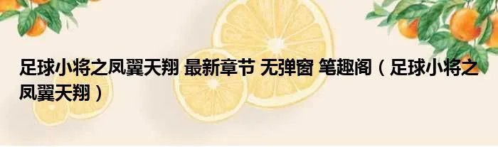 足球小将之凤翼天翔 最新章节 无弹窗 笔趣阁（足球小将之凤翼天翔）