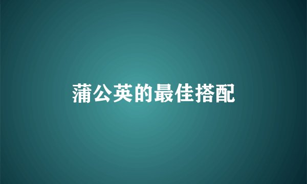 蒲公英的最佳搭配