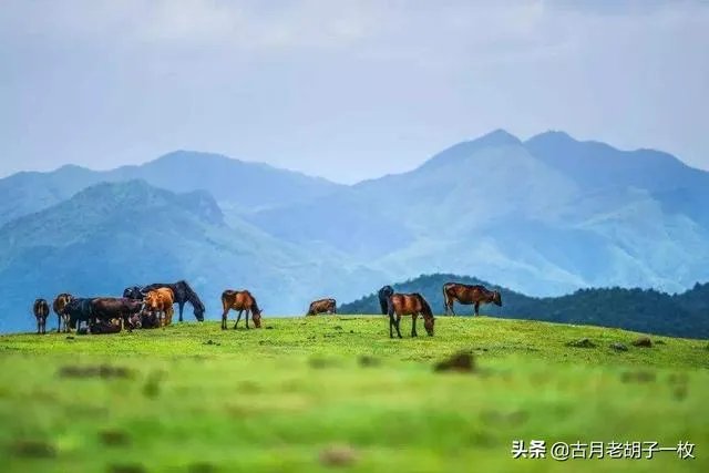如何理解人在归途?