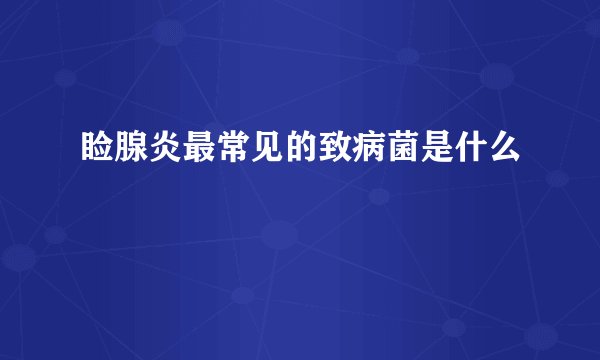 睑腺炎最常见的致病菌是什么