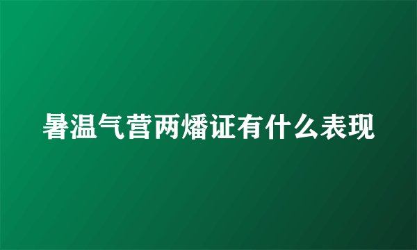 暑温气营两燔证有什么表现