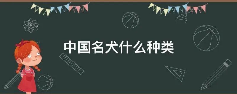 中国名犬什么种类