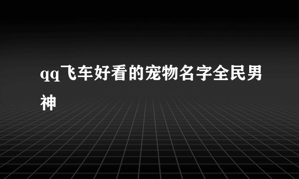qq飞车好看的宠物名字全民男神