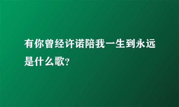 有你曾经许诺陪我一生到永远是什么歌?
