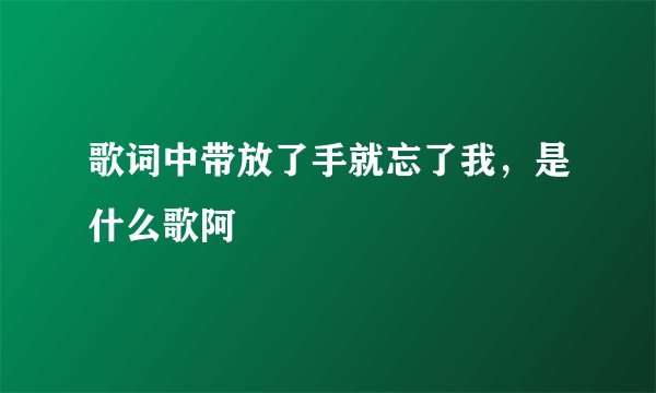 歌词中带放了手就忘了我，是什么歌阿