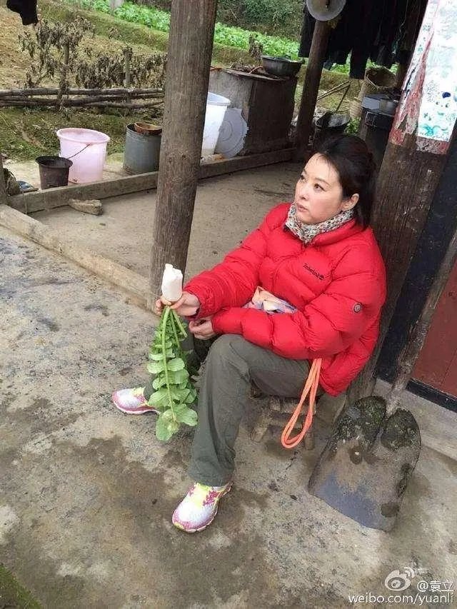 为什么大多人都挺袁立,事实真相是什么?