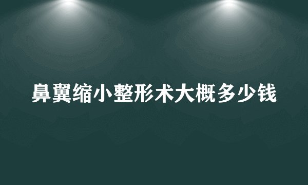 鼻翼缩小整形术大概多少钱