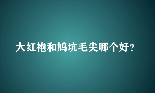大红袍和鸠坑毛尖哪个好？