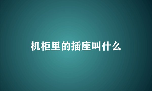 机柜里的插座叫什么