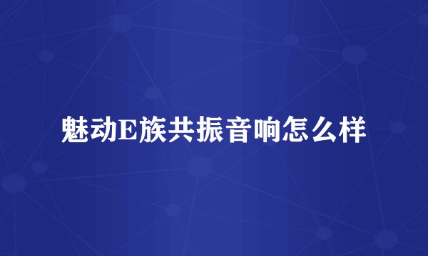 魅动E族共振音响怎么样