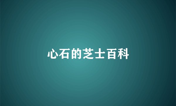 心石的芝士百科