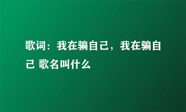 歌词:我在骗自己,我在骗自己 歌名叫什么