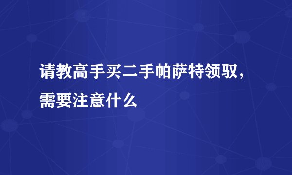 请教高手买二手帕萨特领驭，需要注意什么