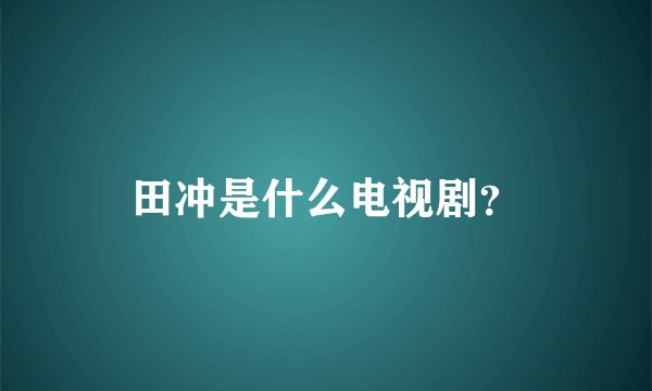 田冲是什么电视剧？
