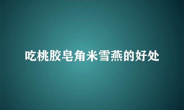 吃桃胶皂角米雪燕的好处