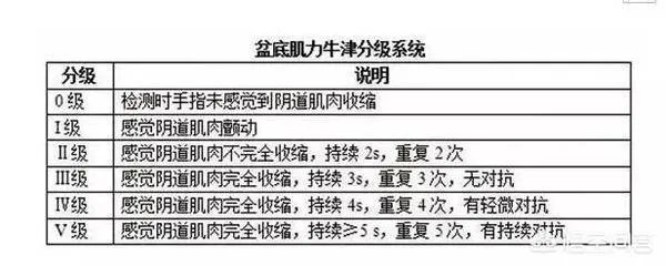 最近,我们最爱的Ella曝出产后膀胱脱垂、尿失禁,宝妈有什么方法可以进行恢复?