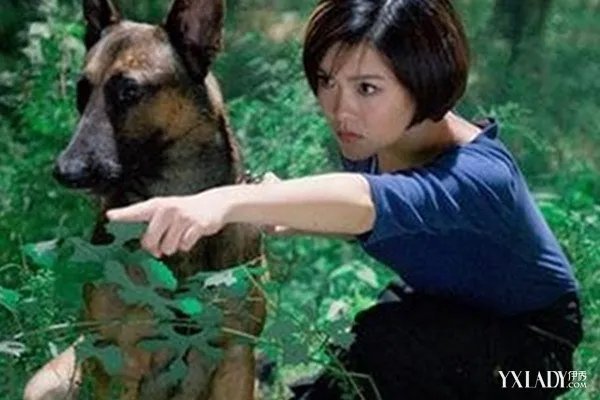 电视剧神犬奇兵结局步枪死了吗?分析神犬们的命运