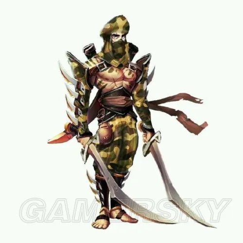 混沌与秩序之英雄战歌 国家队后备队伍解析