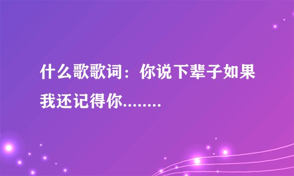 什么歌歌词：你说下辈子如果我还记得你........