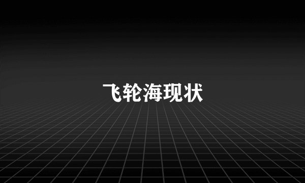 飞轮海现状
