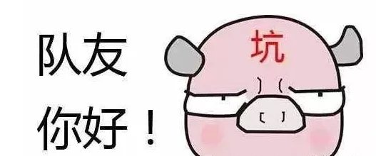 不怕神一样的对手,就怕猪一样的队友是什么意思?