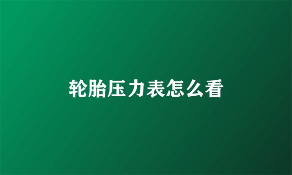 轮胎压力表怎么看