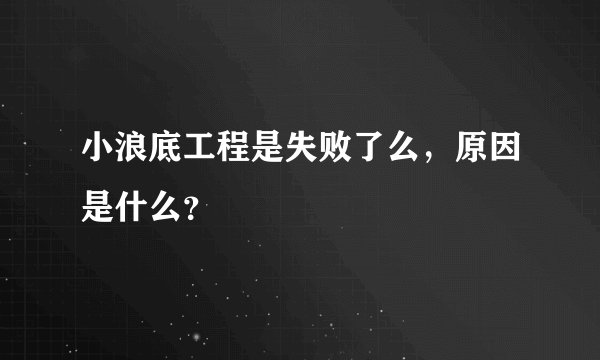 小浪底工程是失败了么，原因是什么？
