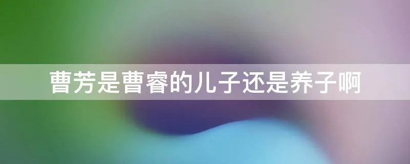 曹芳是曹睿的儿子还是养子啊