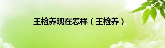 王检养现在怎样(王检养)