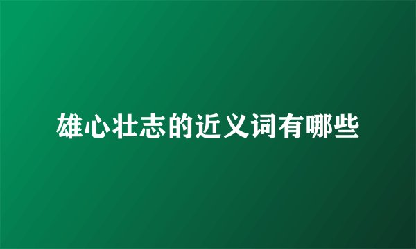 雄心壮志的近义词有哪些