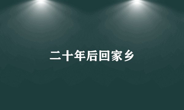 二十年后回家乡