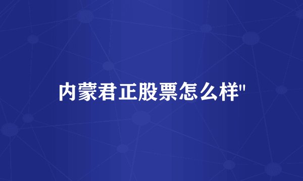 内蒙君正股票怎么样