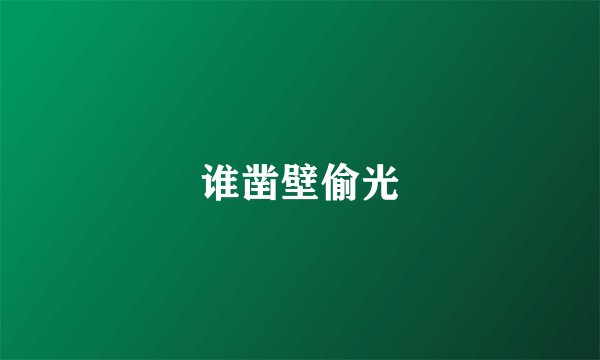 谁凿壁偷光