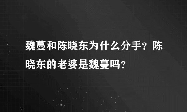 魏蔓和陈晓东为什么分手？陈晓东的老婆是魏蔓吗？