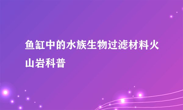 鱼缸中的水族生物过滤材料火山岩科普