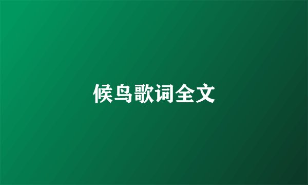 候鸟歌词全文