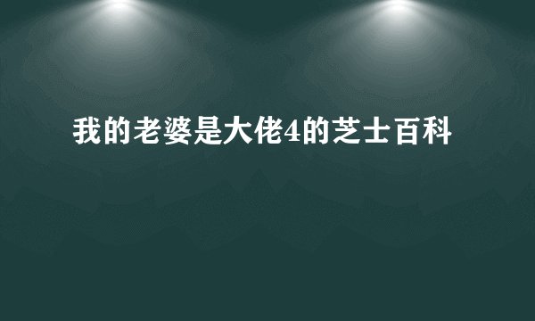 我的老婆是大佬4的芝士百科