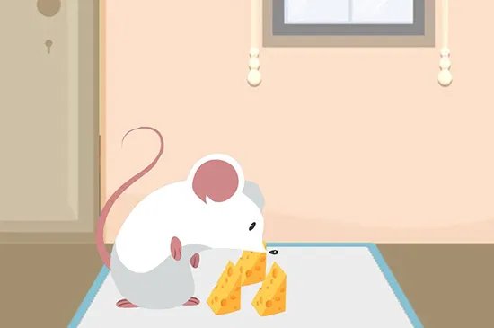 灭鼠最佳方法