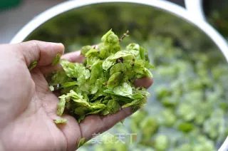 榆钱儿饭