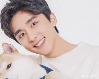 许多粉丝称张新成为艺考之神,这是为什么?