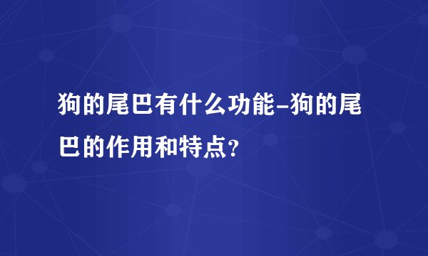 狗的尾巴有什么功能-狗的尾巴的作用和特点？