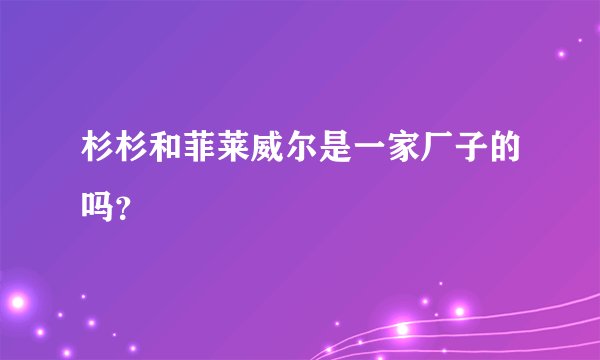 杉杉和菲莱威尔是一家厂子的吗？