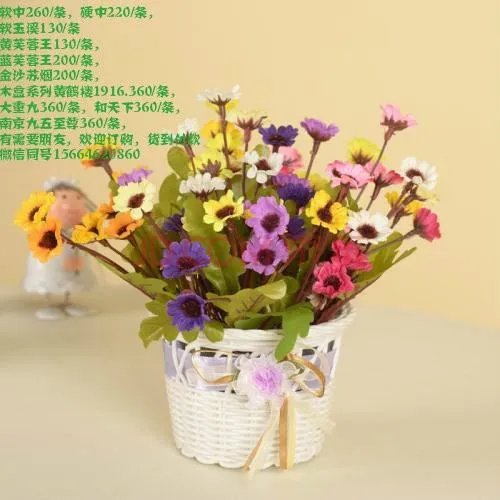 请问上海最大的食品批发市场在哪?