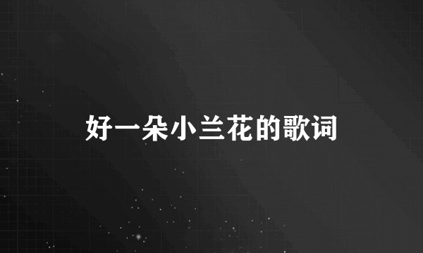 好一朵小兰花的歌词