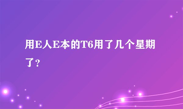 用E人E本的T6用了几个星期了？