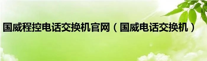 国威程控电话交换机官网（国威电话交换机）