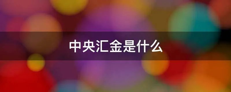 中央汇金是什么