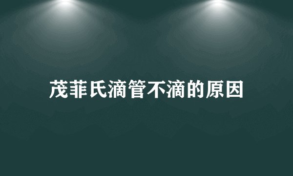 茂菲氏滴管不滴的原因