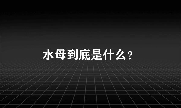 水母到底是什么?